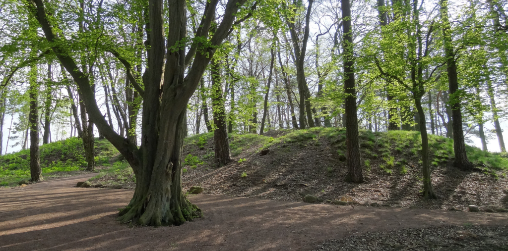 Königsgrab von Seddin | Photo: Groundhopping Merseburg | CC BY-NC 2.0