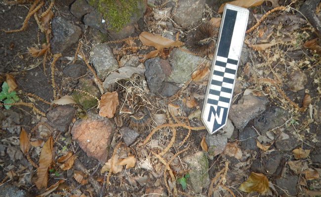 Iron slag and furnace fragments, North-Western Elba | Photo: R. A. Eser/ © R. A. Eser